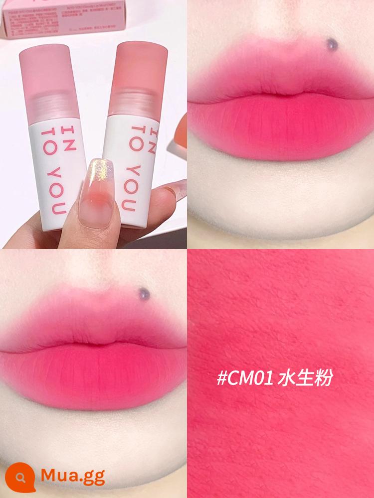 into you lip mud Strawberry Bear Moore Manor son men into you son hộp vali hộp quà tặng s04 - Bột thủy sản CM01