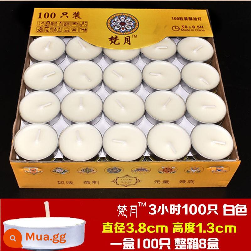 Buồn Trí Tuệ Chúc Đèn Ghee 3 Giờ 4 Giờ 8 Giờ 100 Ghee Cho Đèn Phật Đèn Nến Không Khói Đèn Dầu Su - 3 giờ trắng 100 miếng 8 hộp