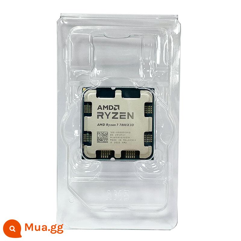 AMD Ryzen mới R3 4100 R5 4500 4600G 5500 5600 R7 5700X 5800X rải rác - R7 7800X Phim rời 3D mới