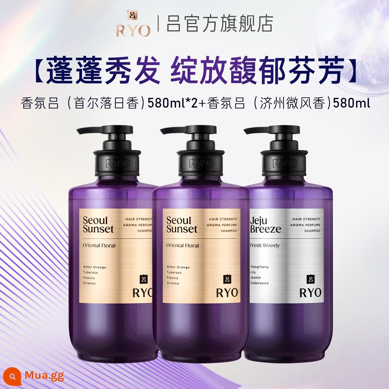 [Độc quyền tự phát sóng] Dầu gội RYO Fragrance Lu Dầu gội kiểm soát dầu mềm mượt Hương thơm mạnh mẽ Dầu gội chính thức - [Hương thơm mịn] Seoul Sunset (Hương hoa thơm) 580ml*2+Jeju Breeze (Hương gỗ lạnh) 580ml