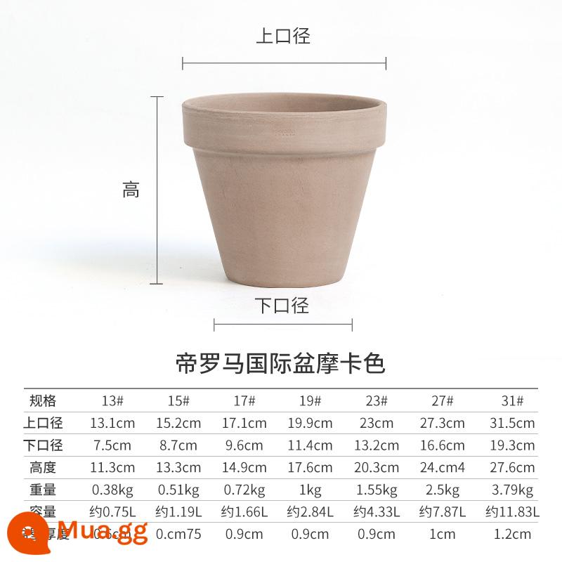 Hongyue Hoàng Đế La Mã Quốc Tế Lưu Vực Mocha Gốm Trắng Vườn Máy Tính Để Bàn Chậu Hoa Đất Nung Trồng Thoáng Khí Phong Cách Bắc Âu Nồi Gốm - [Loại phổ thông (lưu vực quốc tế)] Mocha 13