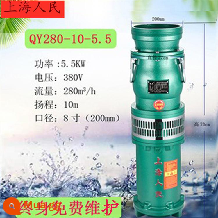 Máy bơm chìm dầu QY của Nhân dân Thượng Hải Máy bơm chìm ba pha 380v nâng cao tưới tiêu đất nông nghiệp dòng chảy lớn máy bơm giếng sâu công nghiệp - Tiêu chuẩn quốc gia 5,5 kW 280 tấn 10 mét 8 inch