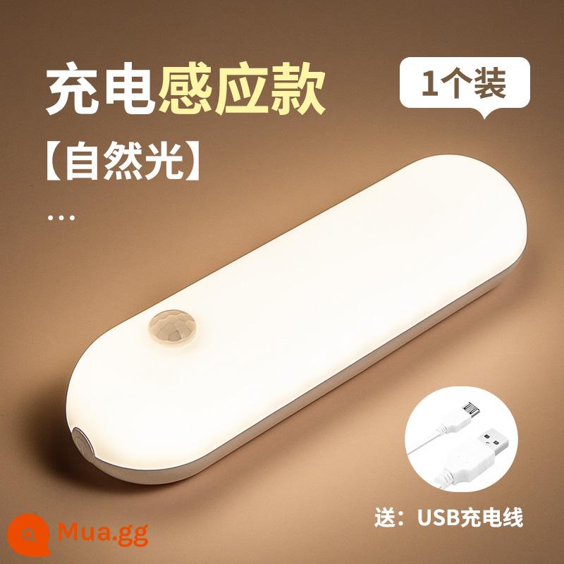 Đèn LED Dán Tường Đèn Tường Sạc Phòng Ngủ Đèn Ngủ Ký Túc Xá Đọc Sách Bảo Vệ Mắt Đèn Tường Không Dây Treo Tường - 1 gói [kiểu cảm ứng sạc] ánh sáng tự nhiên +15cm + 1200 mAh