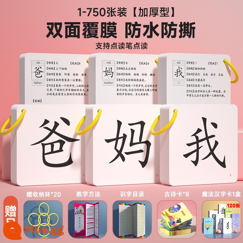 Belling thẻ xóa mù chữ cho trẻ em 3000 từ bé mẫu giáo không có hình ảnh biết chữ Chữ Hán thẻ từ mới biết chữ đồ tạo tác dạy sớm - 1-750 ký tự Trung Quốc dày + ký tự Trung Quốc ma thuật miễn phí + gói quà tặng