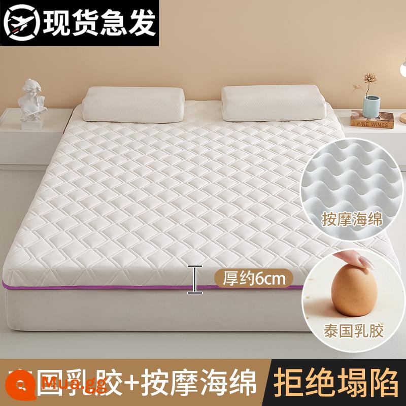 Đệm cao su phòng ngủ nhà tatami mat cho thuê đặc biệt 1 mét 5 miếng bọt biển thảm ký túc xá sinh viên đơn - Mẫu chuẩn - khoảng 6cm, viền trắng kim cương tím [chống nấm mốc và chống ẩm, mủ thật] có hàng, cần gấp