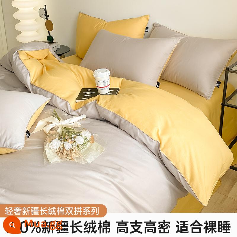 Bông ghim dài 60 chi tiết Giường bông nguyên chất Bộ 4 món cotton 100 ký túc xá Bộ giường 3 món được trang bị ga trải giường vỏ chăn 4 - Tần Na-Núi Ash-Chuhuang