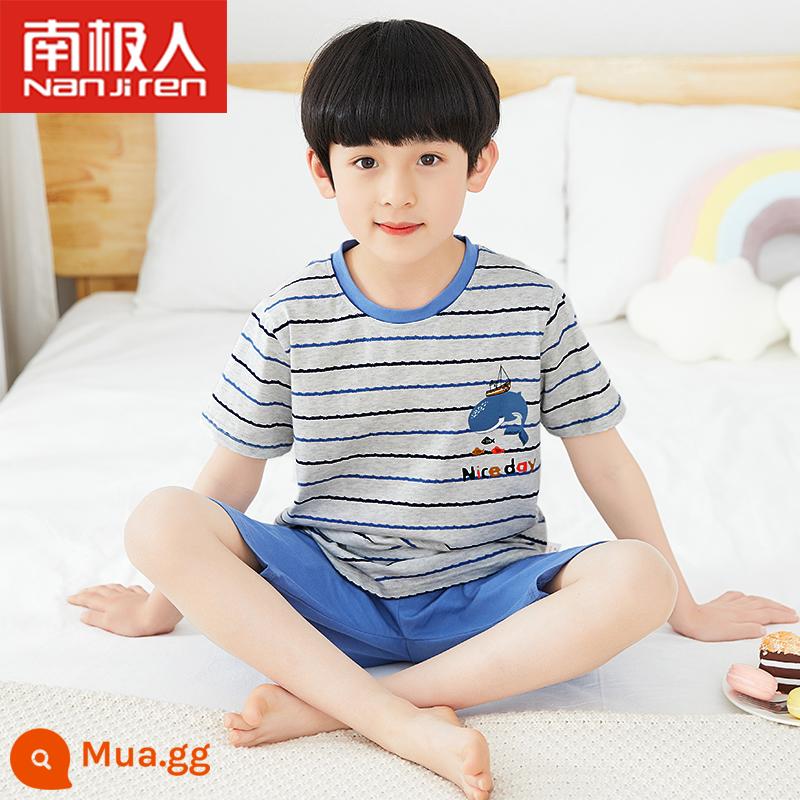 Bộ đồ ngủ trẻ em bé trai cotton ngắn tay mùa hè phần mỏng bé trai 12-15 tuổi trung và lớn phù hợp với dịch vụ gia đình mùa hè - Tay ngắn sọc cá voi xanh