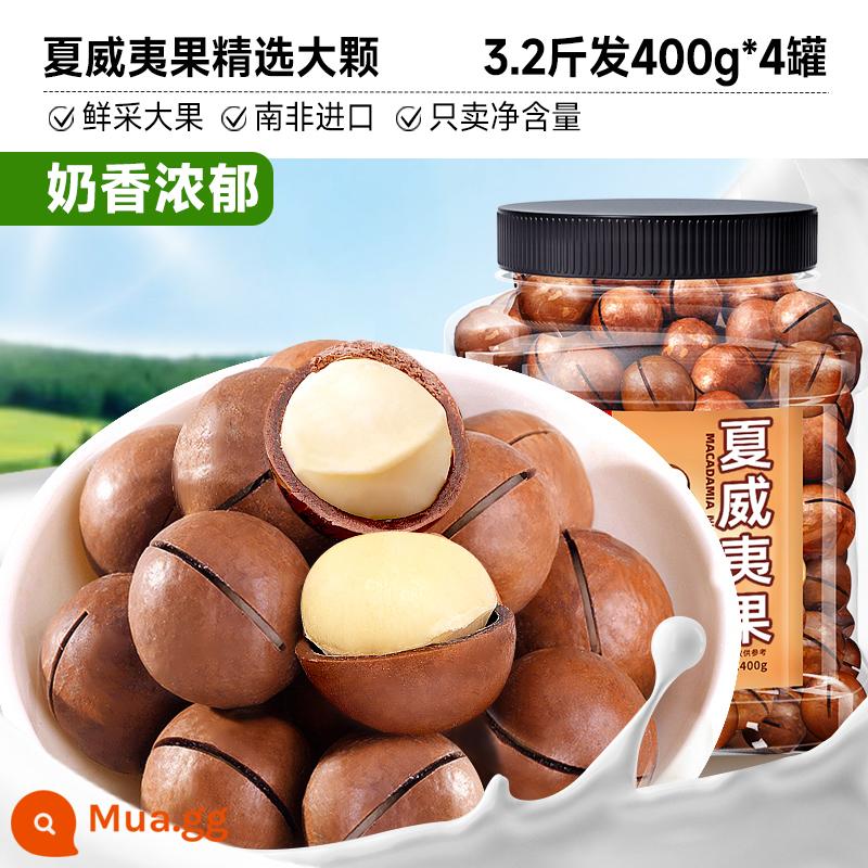 Bibizan Hạt Macadamia 500G Sữa Kem Mới Xuất Hiện Khỏe Mạnh Khi Mang Thai Hạt Khô Cả Hộp Bán Buôn Đồ Ăn Nhẹ - Đóng hộp [chỉ 3,2kg 78,8] Hạt lớn chọn lọc 400g*4 lon