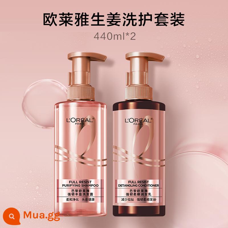 Paris Laiya Ginger Dầu Gội Xả Kiểm Soát Dầu Gốc Chân Tóc Lông Tơ Không Chứa Silicone Chống Rụng Tóc Bộ - Dầu gội 440ml*1+ Dầu xả 440ml*1