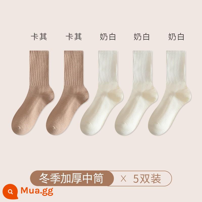 Chu Kỵ Tất Nam Mùa Đông Cổ Cotton Nguyên Chất Cotton Khử Mùi Ống Dài Màu Trắng Thu Đông Cotton Dày Ống Tất - [5 đôi tất dày] 2 đôi kaki + 3 đôi trắng sữa