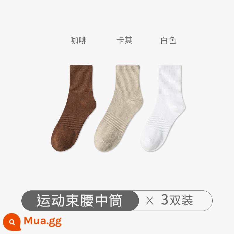 Chu Kỵ Tất Nam Mùa Đông Cổ Cotton Nguyên Chất Cotton Khử Mùi Ống Dài Màu Trắng Thu Đông Cotton Dày Ống Tất - [3 Cặp] Cà Phê + Lạc Đà + Trắng