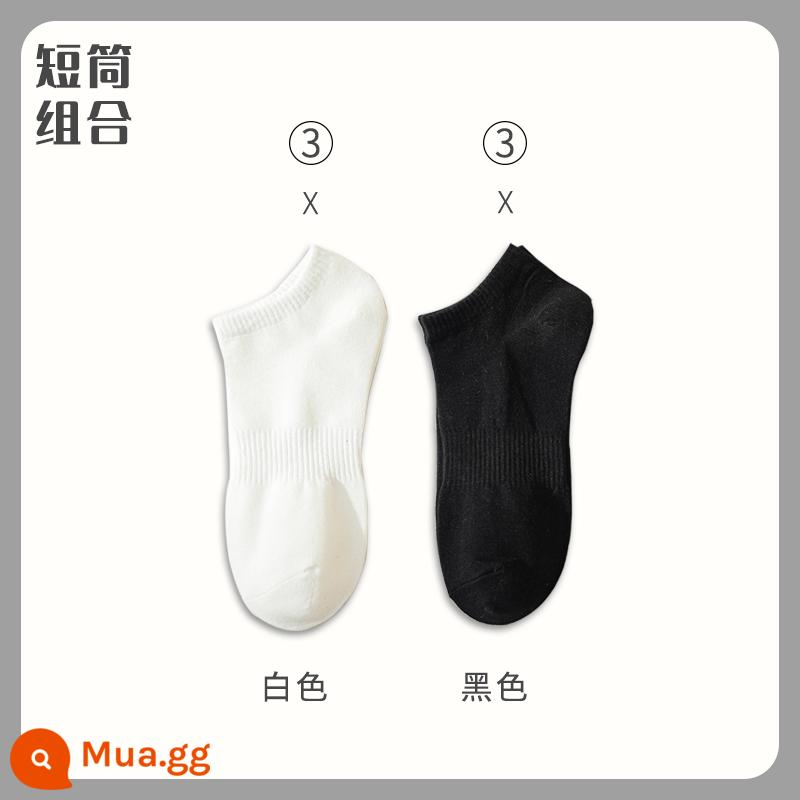 Vớ cotton nam Mid -Autumn Mid -Mid -Worn Sports Sports Long Long Winter Men's Peated Color - "Ống ngắn" 3 đôi trắng + 3 đôi đen