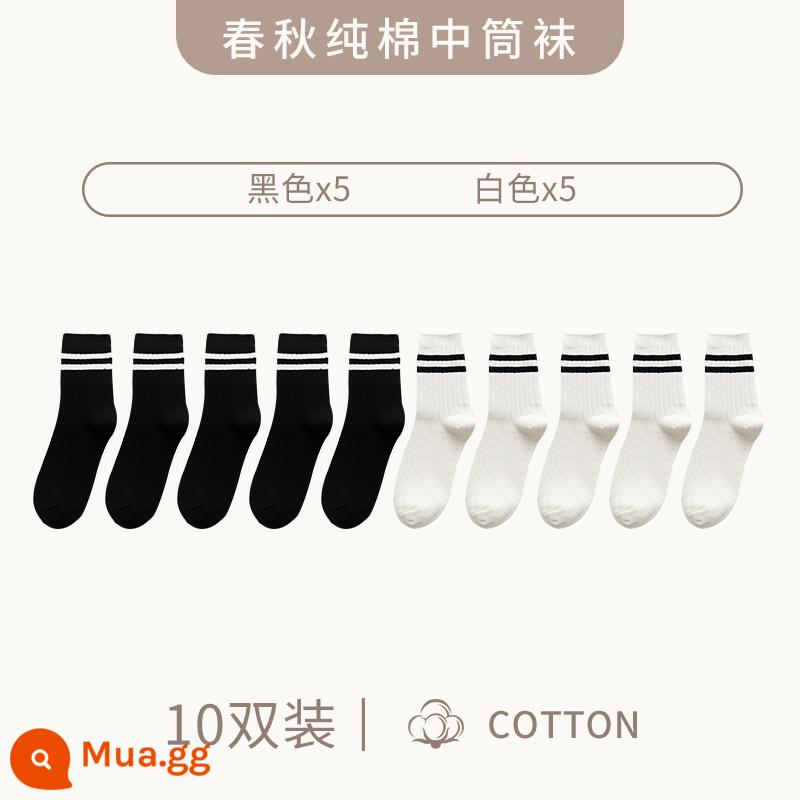 Zhuji Sock Men Mid -winter Mid -worn Cotton Anti -deat Sweat Sports Stocking làm cho mùa thu và mùa đông cộng với vớ sâu - "10 đôi" đen 5 đôi + trắng 5 đôi