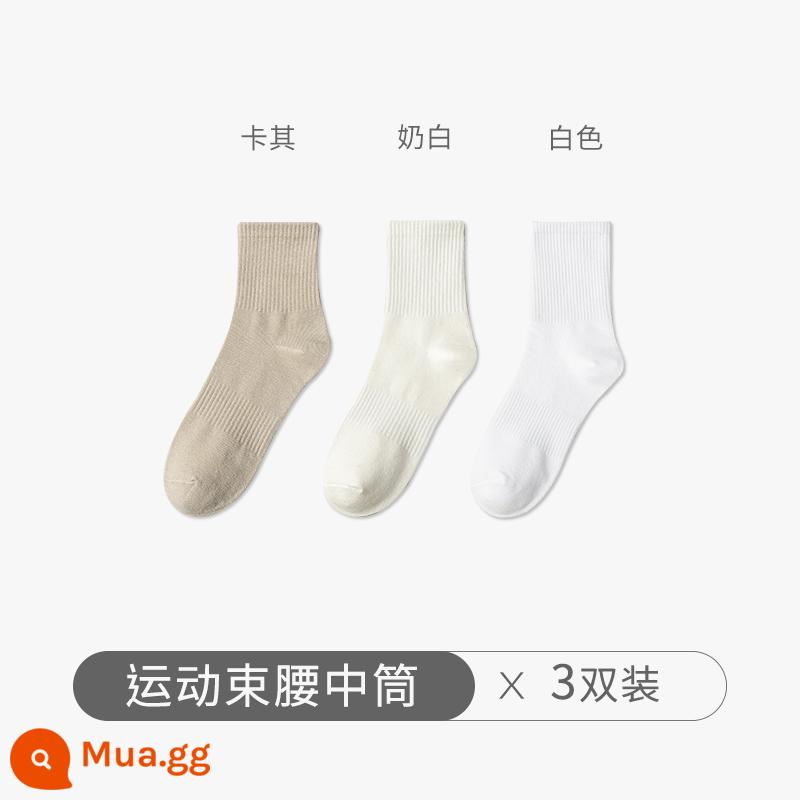 Chu Kỵ Tất Nam Mùa Đông Cổ Cotton Nguyên Chất Cotton Khử Mùi Ống Dài Màu Trắng Thu Đông Cotton Dày Ống Tất - [3 đôi] kaki + trắng sữa + trắng