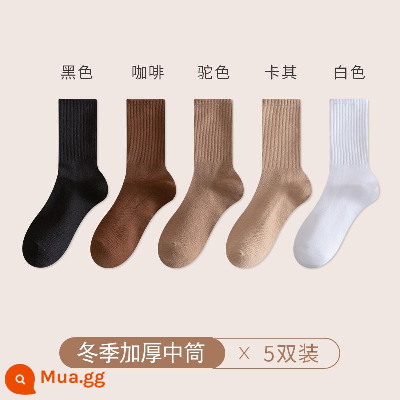 Chu Kỵ Tất Nam Mùa Đông Cổ Cotton Nguyên Chất Cotton Khử Mùi Ống Dài Màu Trắng Thu Đông Cotton Dày Ống Tất - [5 đôi thun dày] đen + cà phê + lạc đà + kaki + trắng