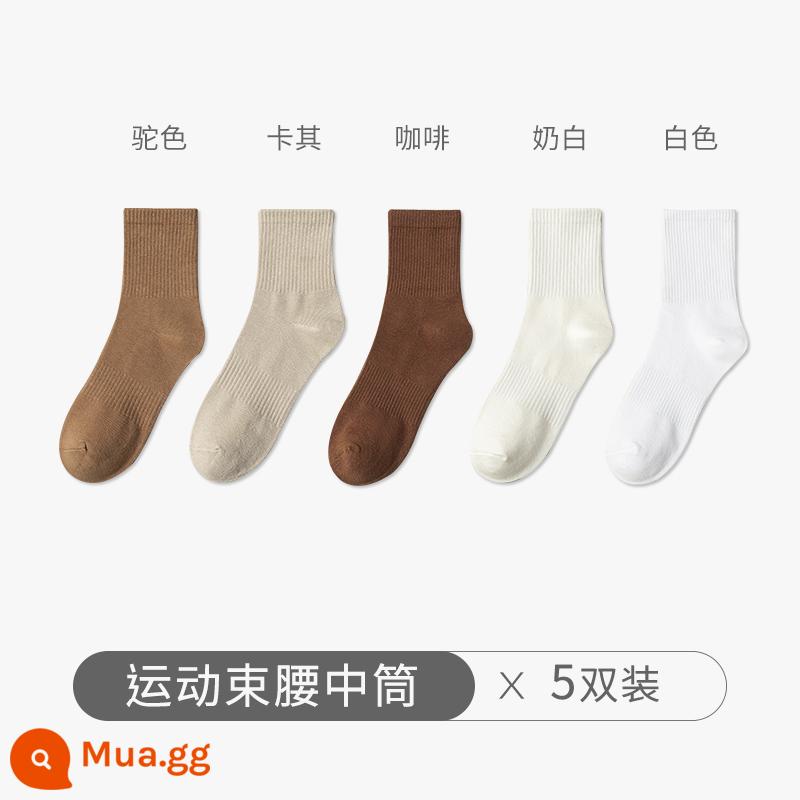 Chu Kỵ Tất Nam Mùa Đông Cổ Cotton Nguyên Chất Cotton Khử Mùi Ống Dài Màu Trắng Thu Đông Cotton Dày Ống Tất - [5 đôi] camel + kaki + cafe + trắng sữa + trắng