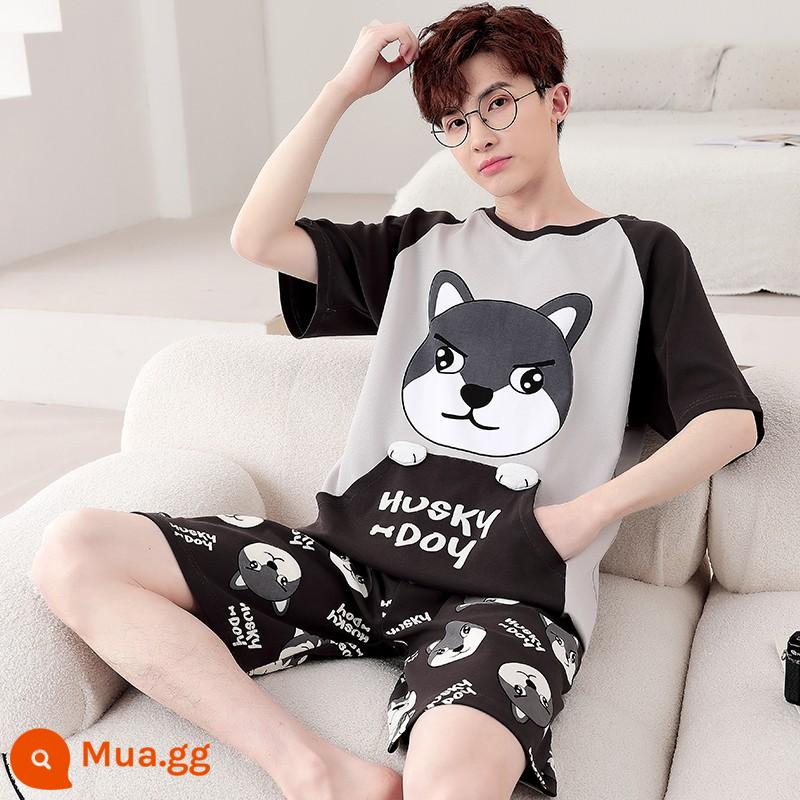 Bộ đồ ngủ nam cotton mùa hè tay ngắn hoạt hình trẻ trung mùa hè mỏng phần cotton phục vụ tại nhà phù hợp với sinh viên - N2323