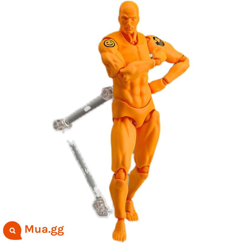 SHF Cơ Thể Cơ Thể Con Người Mô Hình Mô Hình Tranh Nghệ Thuật Tham Khảo Nam Nữ Dụng Cụ Trang Trí Hình Figma Khớp Di Động Búp Bê - 2.0 Người Da Cam