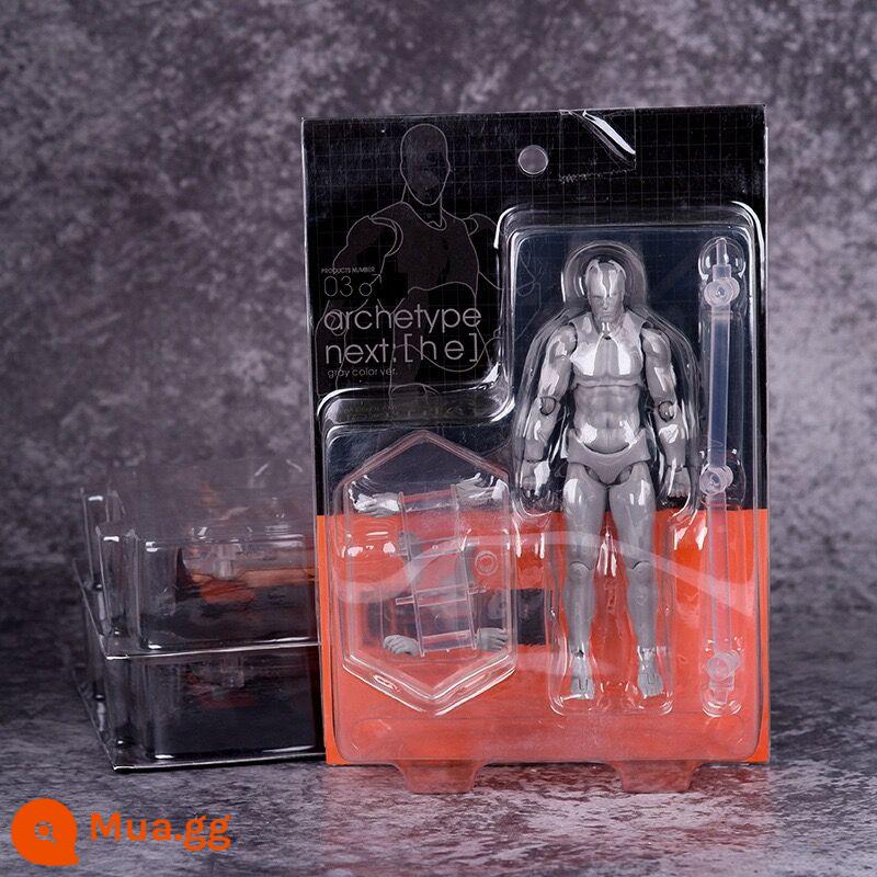 SHF Cơ Thể Cơ Thể Con Người Mô Hình Mô Hình Tranh Nghệ Thuật Tham Khảo Nam Nữ Dụng Cụ Trang Trí Hình Figma Khớp Di Động Búp Bê - người đàn ông màu xám 2.0