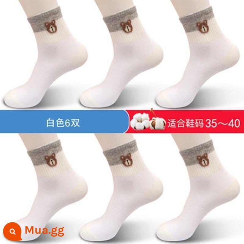 Tất cotton 100% nguyên chất cho nữ, vớ cotton dài đến bắp chân phong cách Hàn Quốc bốn mùa thời trang và dễ thương cho nữ hoạt hình mùa thu đông tất cotton cho mùa thu - 6 đôi - 6 đôi cotton trắng tinh khiết, không hôi chân