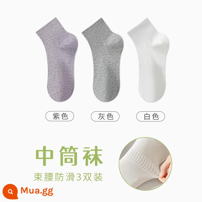 Tất Zhuji Vớ Nữ Giữa Ống Mỏng Mùa Hè Chất Liệu Cotton Nguyên Chất Khử Mùi Và Thấm Hút Mồ Hôi Xuân Thu Tất Trắng Không Xương Sau Sinh - “3 cặp” trắng + xám + tím