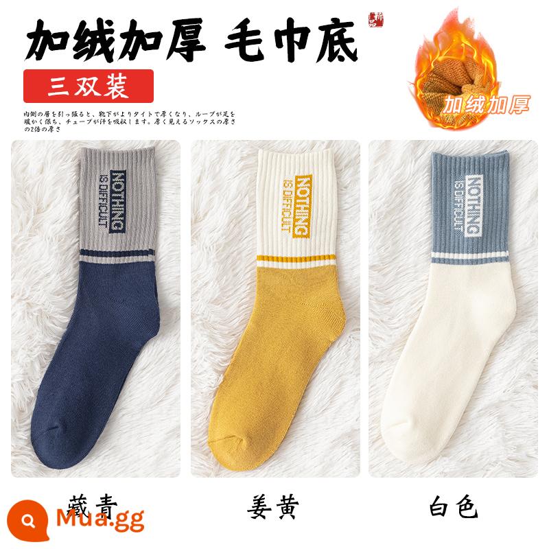 Vớ đồ nam giữa giữa những đôi tất nguyên chất - [3 cặp] Xanh navy + Nghệ + Trắng