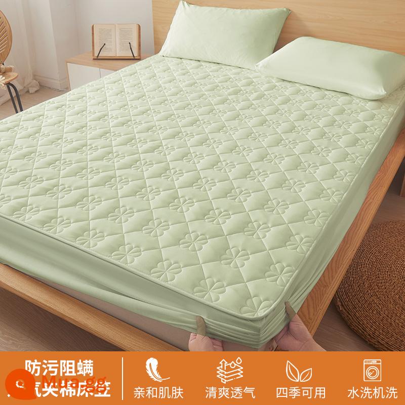 Ga trải giường chần bông trang bị đơn mảnh 2023 mới hợp thời trang cotton không nguyên chất bao gồm ga trải giường túi đệm giường bộ ga trải giường chống bụi - Màu xanh táo [cố định chống trượt toàn diện 360°]