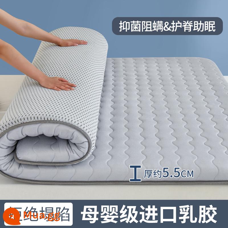 Nệm cao su đệm nhà tatami mat chăn dày ký túc xá sinh viên đơn miếng bọt biển cho thuê đặc biệt mat chăn - (Độ dày khoảng 5,5cm) Màu xám sóng [Phong cách cao su nâng cấp + Vải kháng khuẩn loại A]