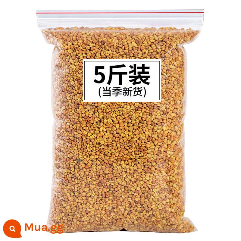 Black Bitter kiều mạch bánh kiều mạch trà Damai BARAI BARLITE TICHUAN DALIANGSHAN - [(màu vàng) trà kiều mạch tartary] 2500g = 5 pound (túi lớn)