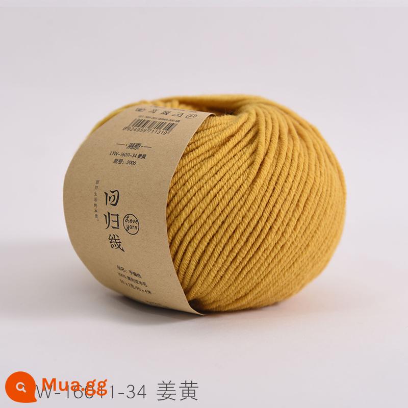 Dòng hồi quy dấu vết trở lại sợi len nguyên chất Merino nguyên chất dày vừa handmade tự làm que kim đan len khăn len bóng - Số 34-Nghệ