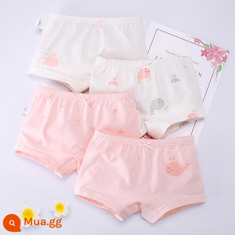 Quần lót bé gái cotton boxer size học sinh trẻ em tam giác 4 góc 100% không kẹp PP quần đùi trẻ em - 3013 Cá Voi Hồng 4 Gói (Kháng khuẩn)