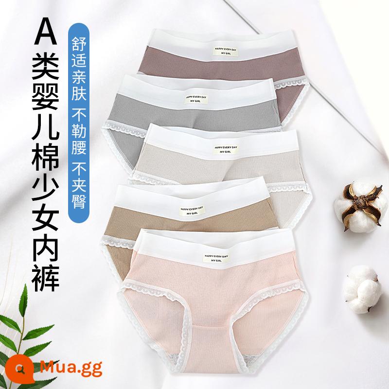 Quần lót bé gái, quần sịp cotton trẻ em, quần sịp cotton bé gái lớn, quần lót bé gái, quần an toàn học sinh pp, quần short - 6884[5 gói]