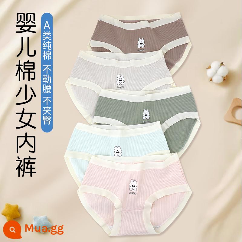 Quần lót bé gái, quần sịp cotton trẻ em, quần sịp cotton bé gái lớn, quần lót bé gái, quần an toàn học sinh pp, quần short - 6885[5 gói]