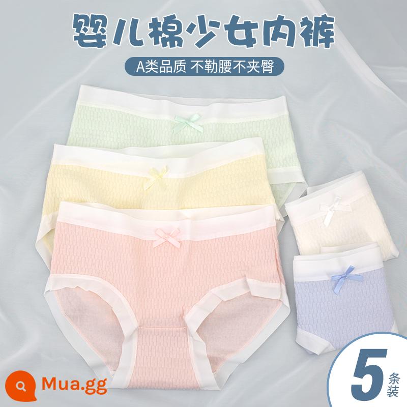 Quần lót bé gái, quần sịp cotton trẻ em, quần sịp cotton bé gái lớn, quần lót bé gái, quần an toàn học sinh pp, quần short - 6882[5 gói]