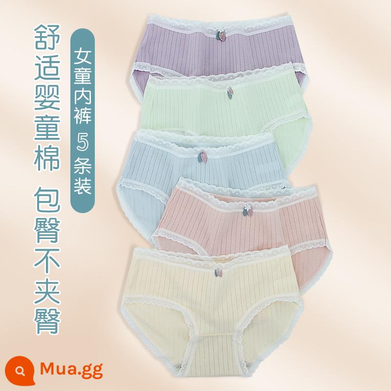 Quần lót bé gái, quần sịp cotton trẻ em, quần sịp cotton bé gái lớn, quần lót bé gái, quần an toàn học sinh pp, quần short - 99886[5 gói]