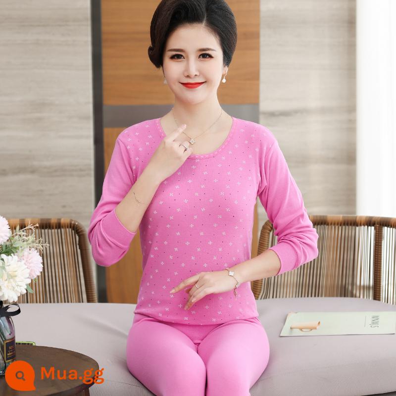 Trung niên và người cao tuổi quần áo mùa thu vệ sinh quần cotton nguyên chất của phụ nữ phù hợp với mẹ kích thước lớn sưởi ấm quần áo nam cao tuổi áo len cotton - 308 đậu nhẹ dán bông tuyết cổ thấp