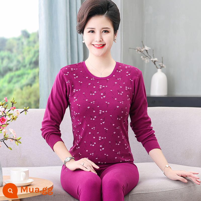 Trung niên và người cao tuổi quần áo mùa thu vệ sinh quần cotton nguyên chất của phụ nữ phù hợp với mẹ kích thước lớn sưởi ấm quần áo nam cao tuổi áo len cotton - 303 cổ tròn màu tím đậm