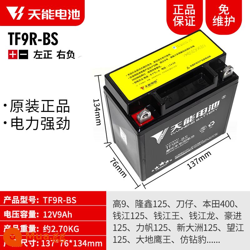 Pin xe máy Tianneng 12V5AH7AH9AH Pin dung lượng lớn Pin phổ thông Yamaha - 12V9AH-TF9R