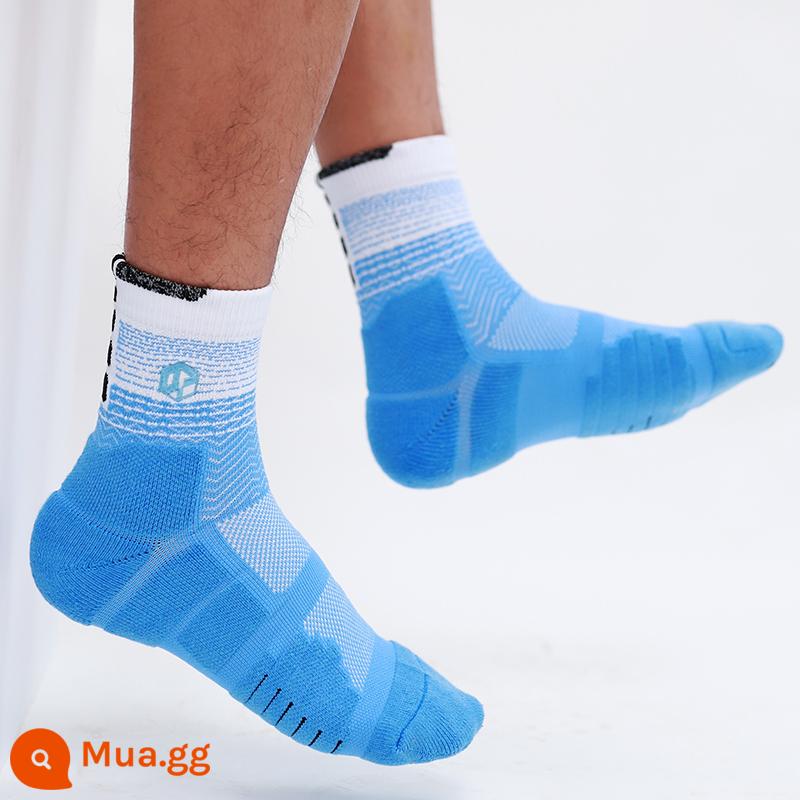 Đấu bò tót bóng rổ tất cầu lông nam Mỹ chạy bộ chuyên nghiệp tất mùa hè cotton nguyên chất dày khăn thể thao tất - Tất dài đến bắp chân màu xanh và trắng