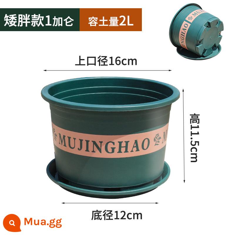 Chậu gallon dày thế hệ thứ hai mới cho ban công ngoài trời hộ gia đình chậu hoa nho vàng hồng chậu hoa nhựa in lớn - M16 (đường kính 16CM) 10 chậu