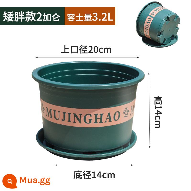 Chậu gallon dày thế hệ thứ hai mới cho ban công ngoài trời hộ gia đình chậu hoa nho vàng hồng chậu hoa nhựa in lớn - M20 (đường kính 20CM) 5 chậu