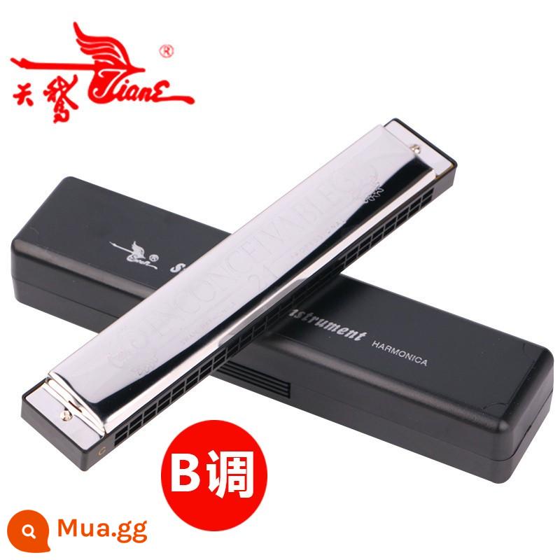 Bộ kèn harmonica đa âm 24 lỗ thiên nga chơi chuyên nghiệp 7 giai điệu/12 giai điệu ABCDEFGA#C#D#F#G#tune hộp quà tặng - Quà tặng đa âm B+24 lỗ