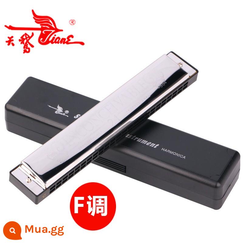 Bộ kèn harmonica đa âm 24 lỗ thiên nga chơi chuyên nghiệp 7 giai điệu/12 giai điệu ABCDEFGA#C#D#F#G#tune hộp quà tặng - 24 lỗ đa âm trong quà tặng F+