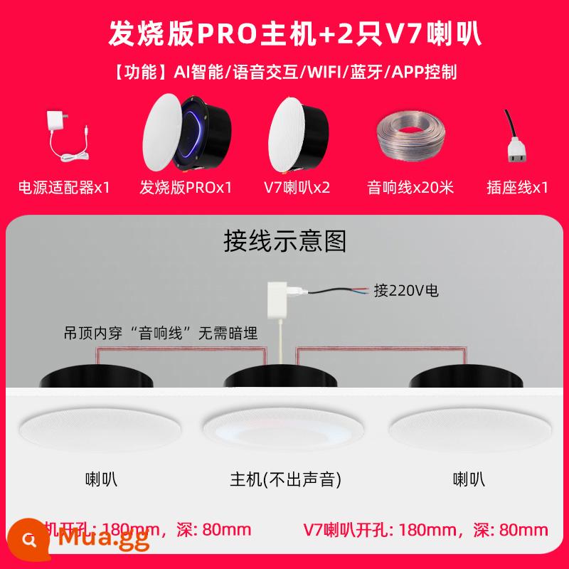 Phiên bản gây sốt tùy chỉnh Loa trần thông minh điều khiển bằng giọng nói Xiaoai PRO Loa Bluetooth yêu cầu bài hát nhà thông minh - Fever Xiaoai PRO+2 V7 kèm loa hộp