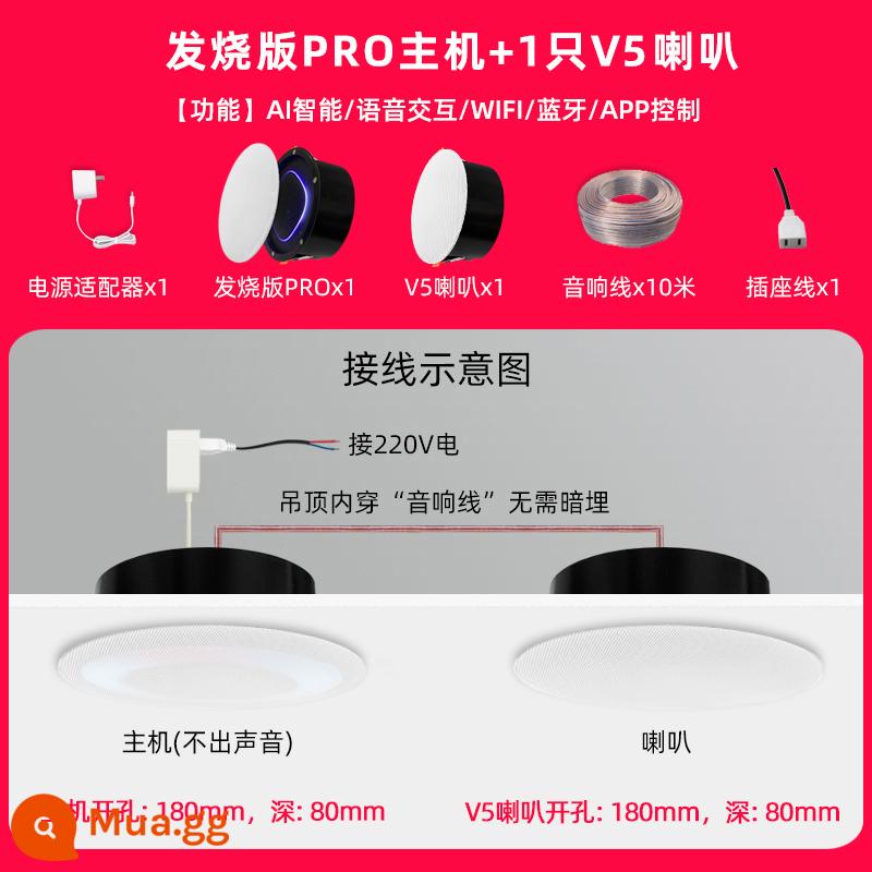 Phiên bản gây sốt tùy chỉnh Loa trần thông minh điều khiển bằng giọng nói Xiaoai PRO Loa Bluetooth yêu cầu bài hát nhà thông minh - Fever Xiaoai PRO+1 V5 kèm loa hộp