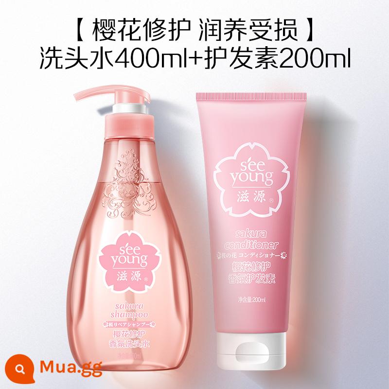 Ziyuan no Silicon Oil Cherry Blossom Sửa chữa dầu gội ngà - [Kết hợp làm sạch và chăm sóc] Dầu gội Sakura 400ml + Dầu xả 200ml