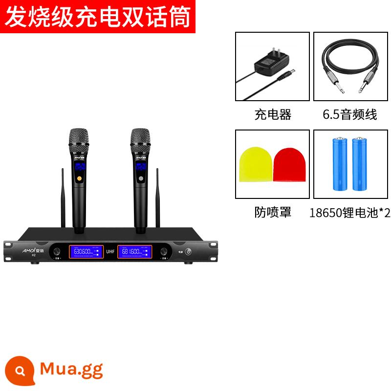 Xiaxin Hội nghị micrô không dây Universal kéo hai bộ sạc toàn cầu KTV phát sóng trực tiếp Micrô hiệu suất sân khấu đặc biệt - Micro kép có thể sạc lại cấp âm thanh nổi