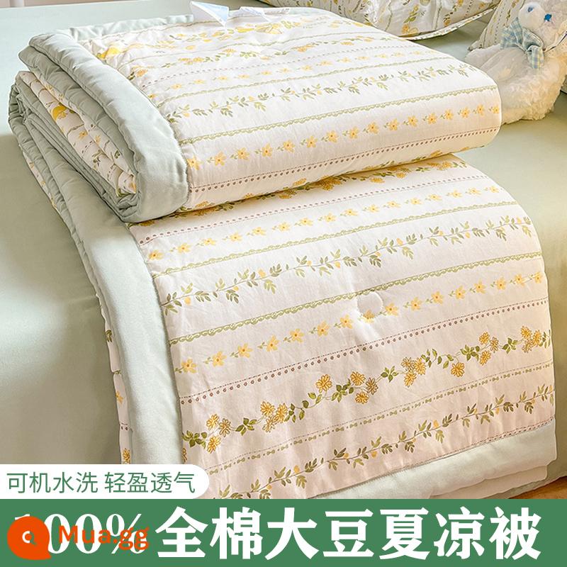 Mùa hè cotton nguyên chất có thể giặt bằng máy mùa hè thoáng mát chăn 4 mảnh duy nhất ký túc xá sinh viên giường mỏng điều hòa đậu tương chăn - YJY Hoa chanh