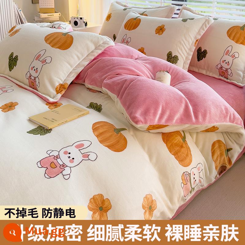 Lông cừu san hô vỏ chăn đơn sữa flannel chăn lõi bao nhung 2 mặt đôi đơn mùa đông ấm áp làm dày - Thỏ bí ngô (dày và sang trọng)