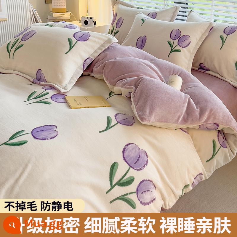 Lông cừu san hô vỏ chăn đơn sữa flannel chăn lõi bao nhung 2 mặt đôi đơn mùa đông ấm áp làm dày - Lily tím (dày và nhung)